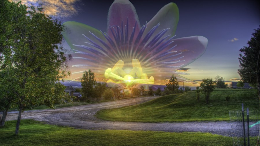 Path to Passion 1400 x 788